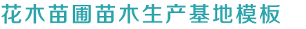 凯发k娱,凯发体育代理